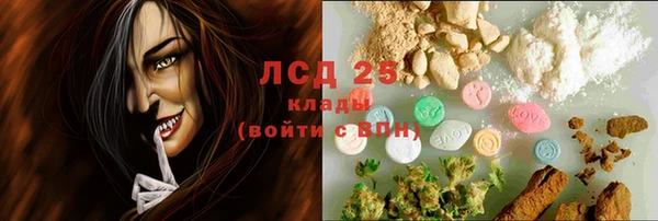 гашик Арсеньев