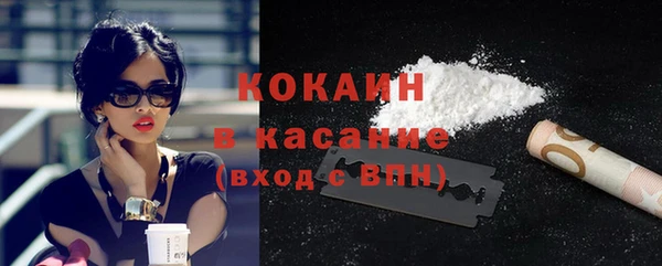 гашик Арсеньев