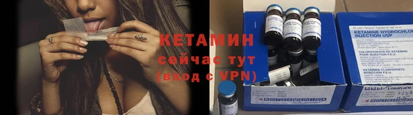 крисы Аркадак