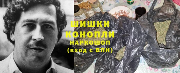 гашик Арсеньев