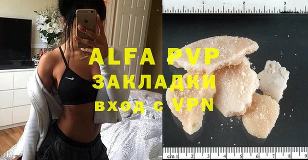 гашик Арсеньев